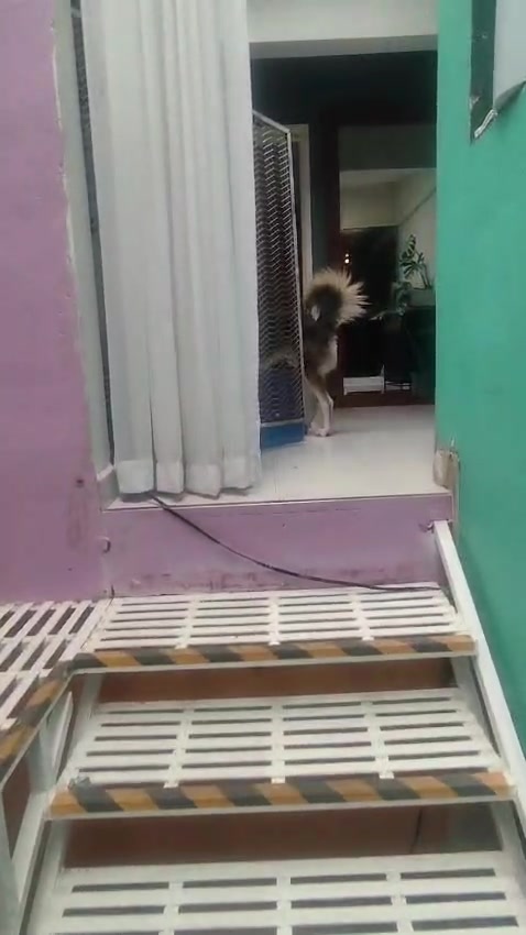 Segundo giro de escalera